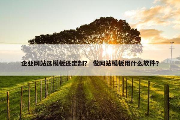 企业网站选模板还定制？ 做网站模板用什么软件？
