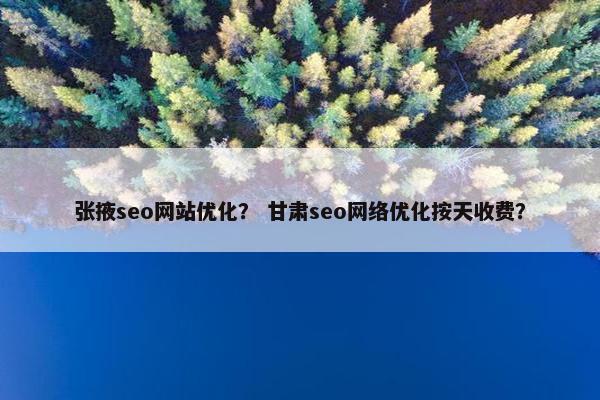 张掖seo网站优化？ 甘肃seo网络优化按天收费？