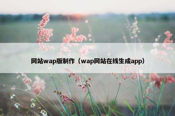 网站wap版制作（wap网站在线生成app）
