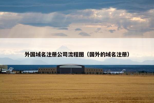 外国域名注册公司流程图（国外的域名注册）