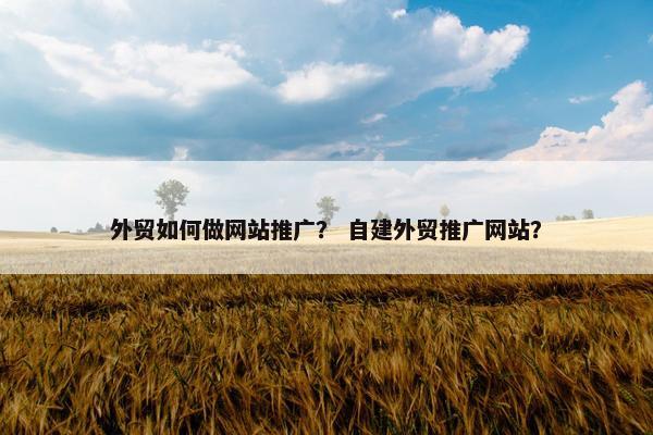 外贸如何做网站推广？ 自建外贸推广网站？