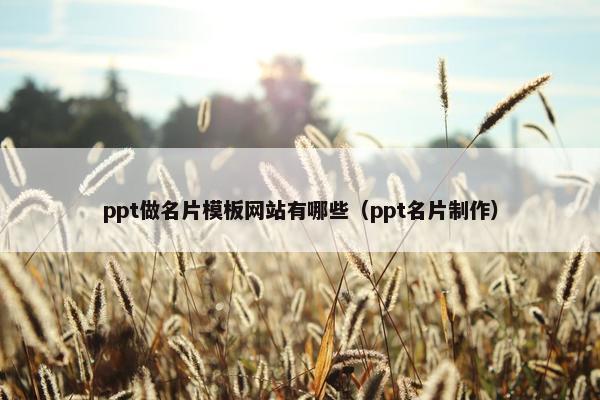 ppt做名片模板网站有哪些（ppt名片制作）