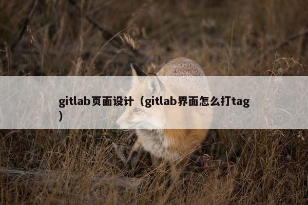 gitlab页面设计（gitlab界面怎么打tag）
