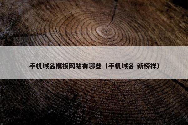 手机域名模板网站有哪些（手机域名 新榜样）