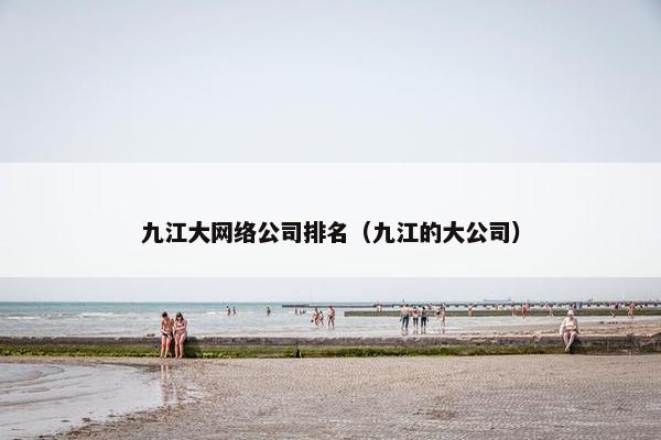 九江大网络公司排名（九江的大公司）