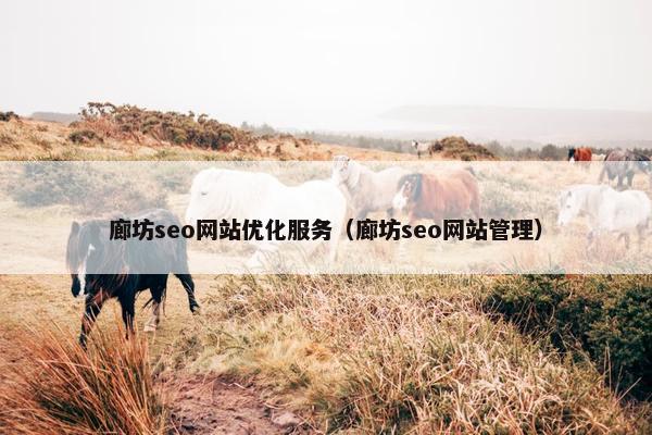 廊坊seo网站优化服务（廊坊seo网站管理）