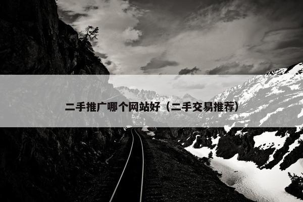 二手推广哪个网站好（二手交易推荐）