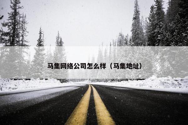 马集网络公司怎么样（马集地址）