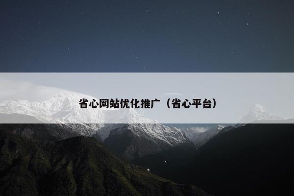 省心网站优化推广（省心平台）