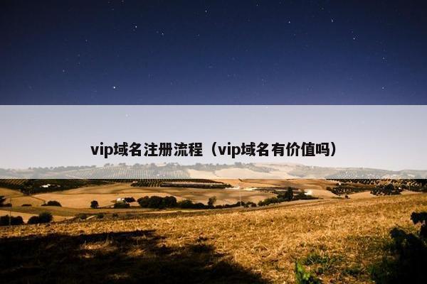 vip域名注册流程（vip域名有价值吗）