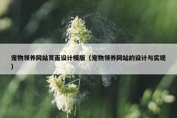 宠物领养网站页面设计模版（宠物领养网站的设计与实现）