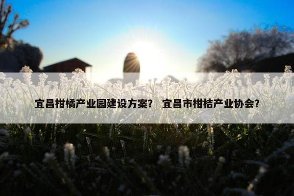 宜昌柑橘产业园建设方案？ 宜昌市柑桔产业协会？