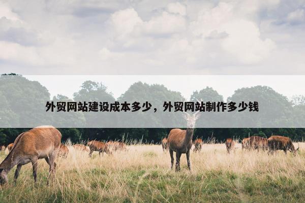 外贸网站建设成本多少，外贸网站制作多少钱