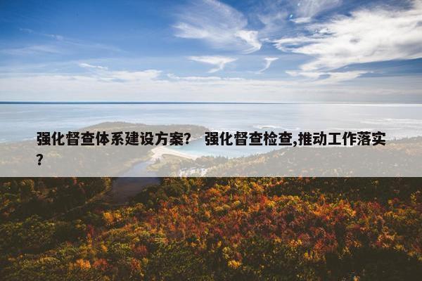 强化督查体系建设方案？ 强化督查检查,推动工作落实？