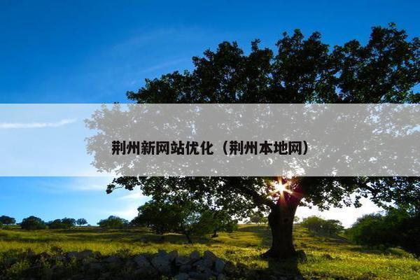 荆州新网站优化（荆州本地网）