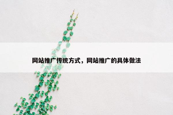 网站推广传统方式，网站推广的具体做法