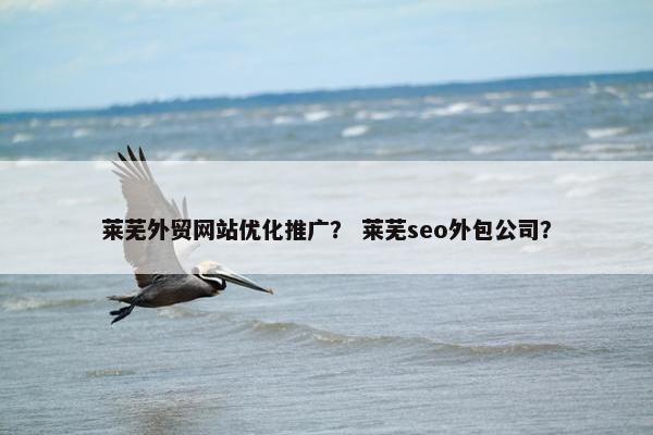 莱芜外贸网站优化推广？ 莱芜seo外包公司？