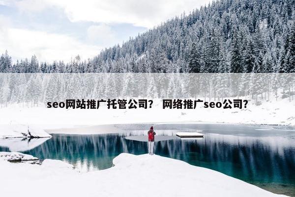 seo网站推广托管公司？ 网络推广seo公司？