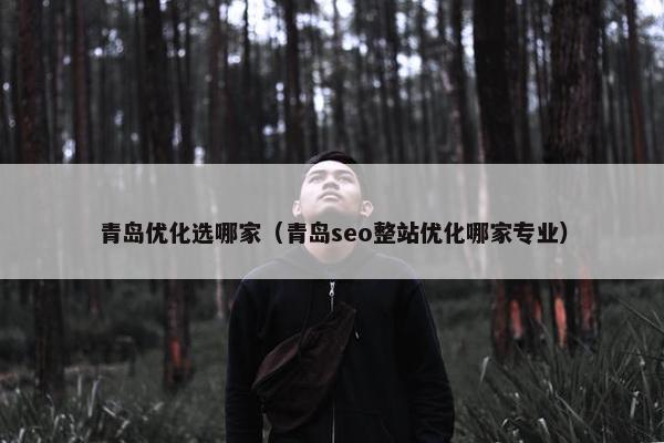青岛优化选哪家（青岛seo整站优化哪家专业）