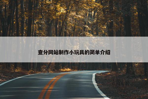 查分网站制作小玩具的简单介绍