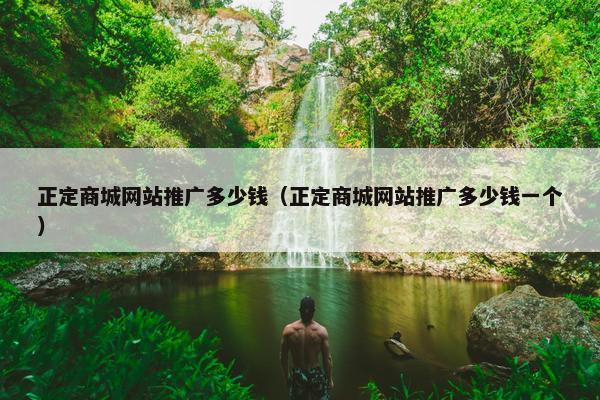 正定商城网站推广多少钱（正定商城网站推广多少钱一个）