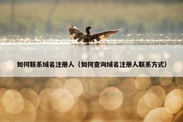 如何联系域名注册人（如何查询域名注册人联系方式）