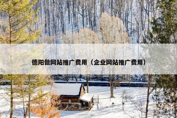 德阳做网站推广费用（企业网站推广费用）