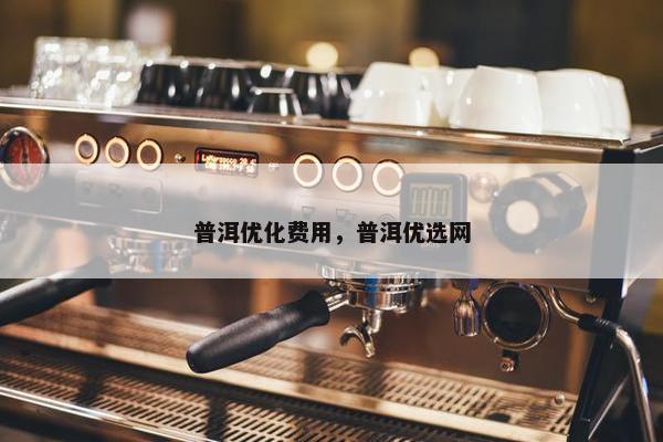 普洱优化费用，普洱优选网