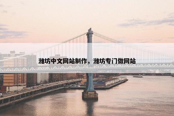 潍坊中文网站制作，潍坊专门做网站