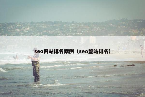 seo网站排名案例（seo整站排名）