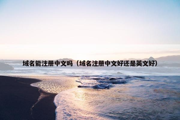域名能注册中文吗（域名注册中文好还是英文好）