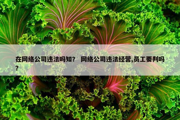 在网络公司违法吗知？ 网络公司违法经营,员工要判吗？