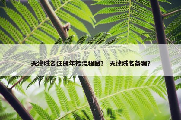 天津域名注册年检流程图？ 天津域名备案？