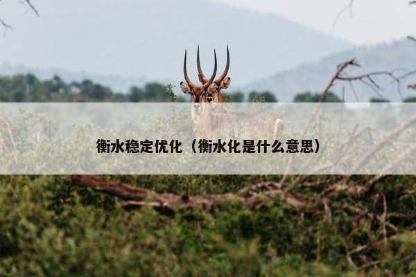 衡水稳定优化（衡水化是什么意思）
