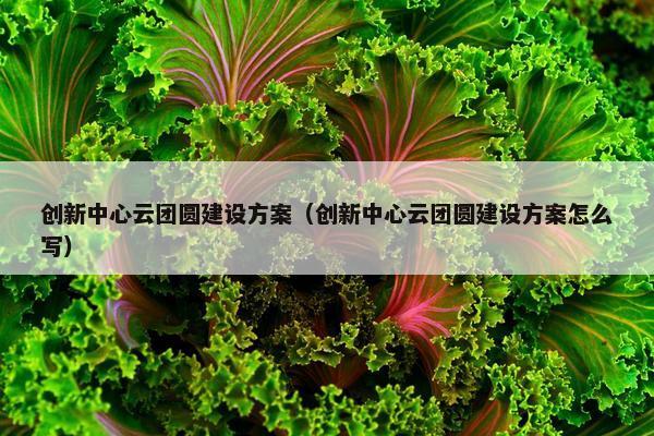 创新中心云团圆建设方案（创新中心云团圆建设方案怎么写）