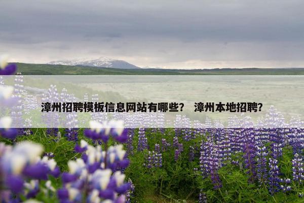 漳州招聘模板信息网站有哪些？ 漳州本地招聘？