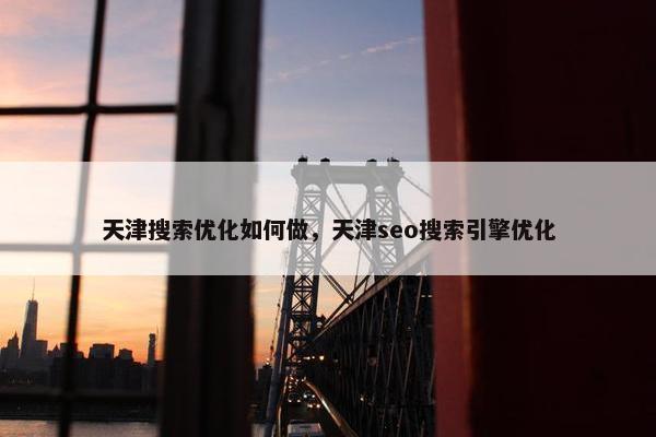天津搜索优化如何做，天津seo搜索引擎优化