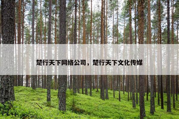 楚行天下网络公司，楚行天下文化传媒