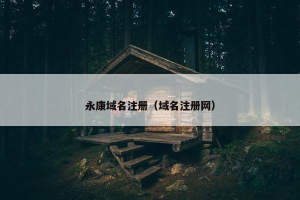 永康域名注册（域名注册网）