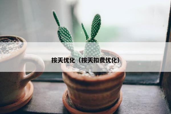 按天优化（按天扣费优化）