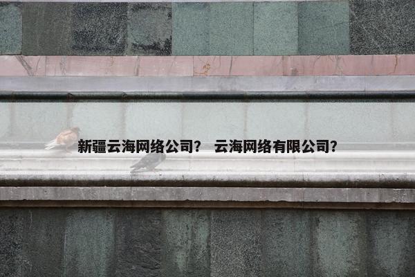 新疆云海网络公司？ 云海网络有限公司？
