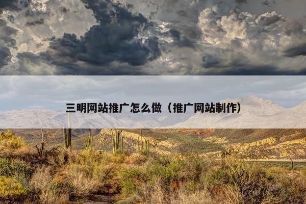三明网站推广怎么做（推广网站制作）
