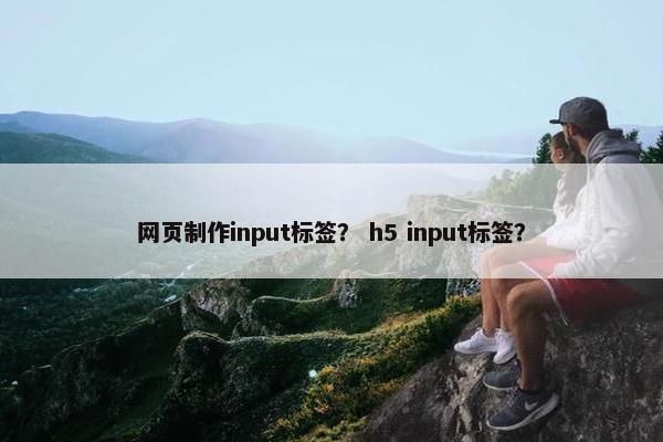 网页制作input标签？ h5 input标签？