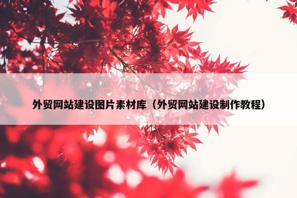外贸网站建设图片素材库（外贸网站建设制作教程）