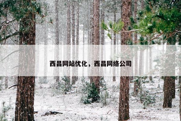 西昌网站优化，西昌网络公司