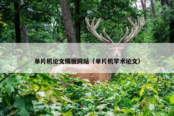单片机论文模板网站（单片机学术论文）