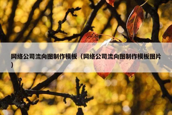 网络公司流向图制作模板（网络公司流向图制作模板图片）