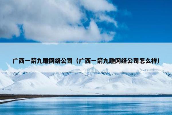 广西一箭九雕网络公司（广西一箭九雕网络公司怎么样）