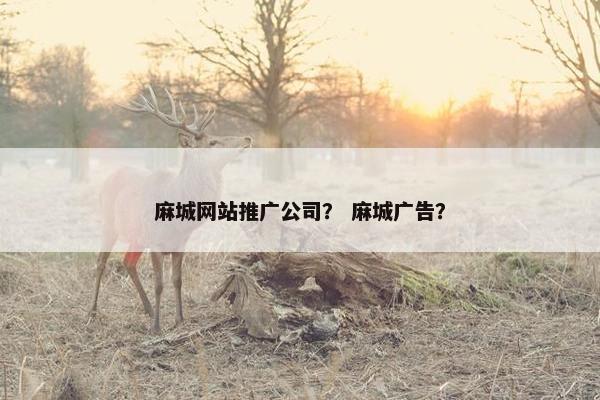 麻城网站推广公司？ 麻城广告？
