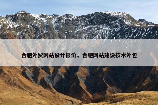 合肥外贸网站设计报价，合肥网站建设技术外包